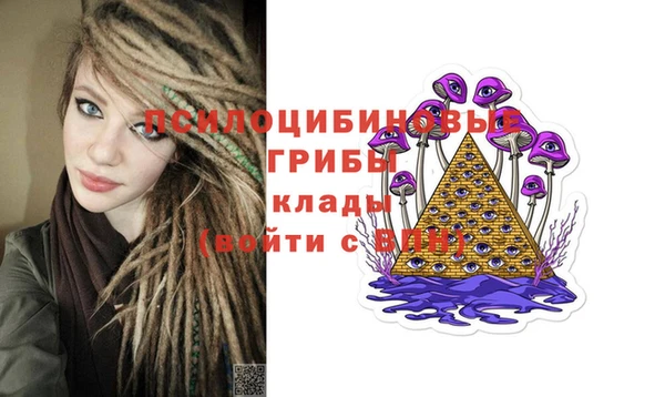 бошки Кулебаки