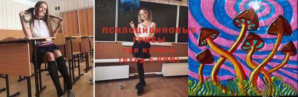 бошки Кулебаки