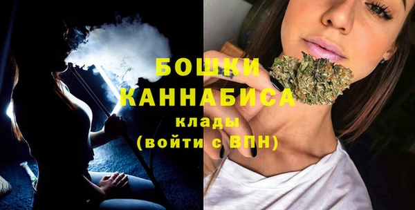 соль ск Краснослободск