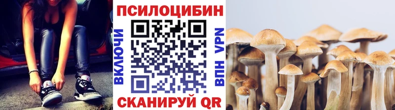 Псилоцибиновые грибы Psilocybine cubensis  как найти закладки  Сосенский 