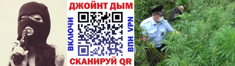 Шишки марихуана конопля  кракен рабочий сайт  Сосенский 